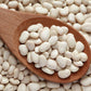 50 BABY LIMA BEAN Phaseolus Lunatus Vegetable Seeds