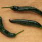 50 PASILLA BAJIO PEPPER Mexican Chilaca Chile Negro Capsicum Annuum Vegetable Seeds