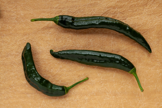50 PASILLA BAJIO PEPPER Mexican Chilaca Chile Negro Capsicum Annuum Vegetable Seeds