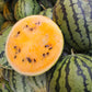 50 TENDERSWEET ORANGE WATERMELON Orange Flesh Citrullus Lanatus Fruit Melon Seeds