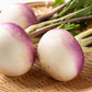 3000 PURPLE Top WHITE Globe TURNIP Brassica Rapa Vegetable Seeds