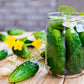 150 BOSTON PICKLING CUCUMBER Heirloom Cucumis Sativus Fruit Vegetable Seeds