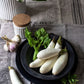 40 White Star FINGER FRUIT EGGPLANT Solanum Melongena Aubergine Fruit Vegetable Seeds