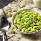 20 FORDHOOK LIMA BEAN Phaseolus Lunatus Bush Bean Vegetable Seeds