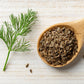 1000 LONG ISLAND Mammoth DILL Anethum Graveolens Herb Flower Seeds