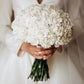 50 WHITE CARNATION Dianthus Caryophyllus Grenadin Flower Seeds
