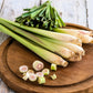 100 LEMONGRASS East Indian Lemon Grass Fragrant Ornamental Edible Cymbopogon Flexuosus Seeds