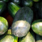 50 CONGO WATERMELON Red Citrullus Lanatus 40 lb AAS Winner Fruit Melon Seeds