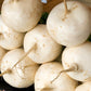 3000 SHOGOIN TURNIP White Japanese Brassica Rapa Root & Greens Vegetable Seeds