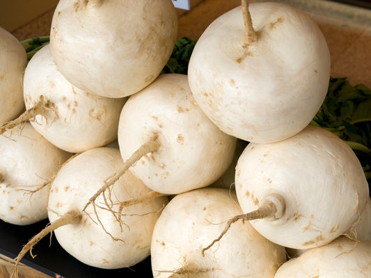 3000 SHOGOIN TURNIP White Japanese Brassica Rapa Root & Greens Vegetable Seeds