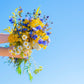 1000 CHICORY (Blue Daisy / Blue Sailors / Coffeeweed / Succory) Cichorium Intybus Flower Herb Seeds