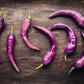 50 PURPLE CAYENNE PEPPER Hot Capsicum Annuum Vegetable Seeds