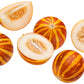 15 TIGGER / TIGER MELON Edible Muskmelon & Ornamental Vine Cucumis Melo Seeds