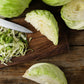 500 FLAT DUTCH Late CABBAGE Brassica Oleracea Capitata Vegetable Seeds
