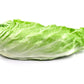 250 SUGAR LOAF ENDIVE Radicchio Escarole Cichorium Intybus Green Vegetable Seeds