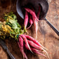 100 PINK SUMMERSICLE RADISH Raphanus Sativus Root Vegetable Seeds