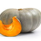 15 JARRAHDALE GREEN PUMPKIN Jarradale Blue Grey Cucurbita Maxima Vegetable Seeds