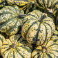 15 HEART Of GOLD Acorn SQUASH Winter Cucurbita Pepo Vegetable Seeds