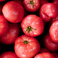 200 PINK PONDEROSA TOMATO Henderson's Lycopersicon Fruit Vegetable Seeds