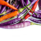 50 PURPLE CAYENNE PEPPER Hot Capsicum Annuum Vegetable Seeds