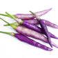 50 PURPLE CAYENNE PEPPER Hot Capsicum Annuum Vegetable Seeds