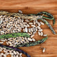 50 RATTLESNAKE POLE BEAN Stringless Purple Phaseolus Vulgaris Vegetable Seeds