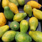 10 DWARF WAIMANALO PAPAYA Solo Hawaiian Carica Fruit Tree Houseplant Seeds