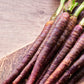 400 COSMIC PURPLE CARROT Daucus Carota Vegetable Seeds