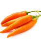 100 MIXED CAYENNE PEPPER Hot Yellow Purple Orange Red Green Capsicum Vegetable Seeds