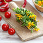 300 MEXICAN Mint MARIGOLD Spanish Tarragon Tagetes Lucida Flower Herb Seeds