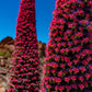 25 TOWER OF JEWELS Red Bugloss Echium Wildpretii Ruby Hummingbird Flower Seeds