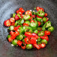 30 BIRDS Eye CHILI PEPPER (Chiltepin Pepper) Capsicum Frutescens Vegetable Seeds