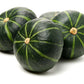 20 MINI MIX PUMPKIN Miniature Cucurbita Pepo White Green Orange Striped Vegetable Seeds