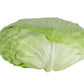 500 FLAT DUTCH Late CABBAGE Brassica Oleracea Capitata Vegetable Seeds