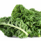 2500 VATES Blue CURLED KALE / Dwarf Blue Curled Scotch Kale Brassica Oleracea Vegetable Seeds