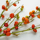 25 TURKISH ORANGE EGGPLANT Scarlet Solanum Aethiopicum Fruit Vegetable Seeds