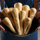 1000 PARSNIP Improved HOLLOW CROWN Pastinaca Sativa White Root Vegetable Seeds