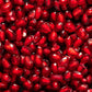 25 POMEGRANATE TREE Punica Granatum Red Fruit Seeds