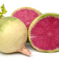300 WATERMELON RADISH Beauty Heart Raphanus Sativus Pink White Vegetable Seeds