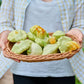 20 Green Tint BUSH SCALLOP SQUASH (Patty Pan / Paty Pan / Squanter Squash) Summer Cucurbita Pepo Vegetable Seeds