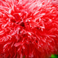 100 Red OASE PEONY POPPY Papaver Peoniflorum Double Flower Seeds