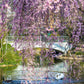 10 WEEPING HIGAN CHERRY Tree Japanese Prunus Subhirtella Pendula Pink Flower Seeds