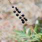 5 LILYTURF Liriope Muscari aka Big Blue Lily Turf / Monkey Grass Flower Seeds