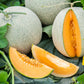 200 IROQUOIS CANTALOUPE Melon Fruit Cucumis Melo Seeds