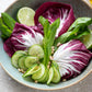 100 ROSSA Di VERONA RADICCHIO / Endive Italian Cichorium Intybus Vegetable Seeds