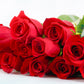 5 RED ROSE Rosa Bush Shrub Perennial Flower Seeds
