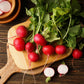 2000 CHERRY BELLE RADISH Raphanus Sativus Vegetable Seeds
