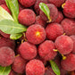 25 STRAWBERRY TREE Edible Red Berry Tree Arbutus Unedo Seeds Irish Killarney