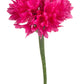 750 Red BACHELOR'S BUTTON / CORNFLOWER Centaurea Cyanus Flower Seeds