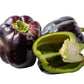75 PURPLE BEAUTY PEPPER ( Sweet Mild Bell ) Capsicum Annuum Vegetable Seeds